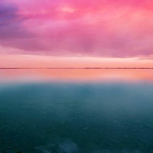 Meet your Posher, Lilly